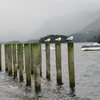 Misty day on Derwentwater .. Borrowdale