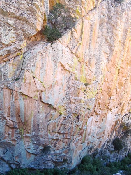 Andy Bennett on the route.  The route ends in the shallow corner right of the tree due to funky rock above.