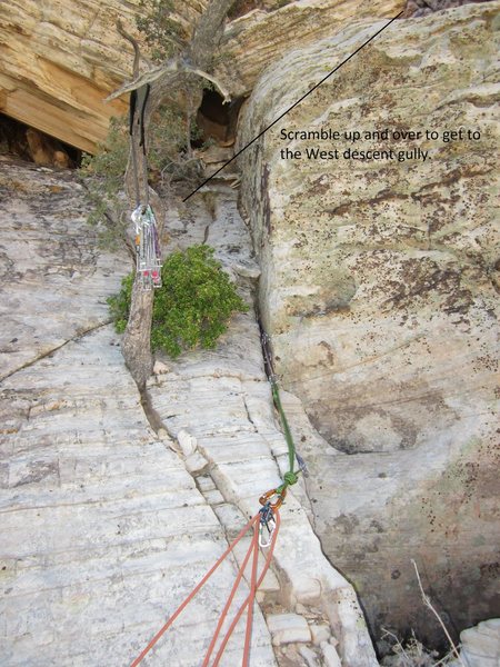 Top of the climb.  The tree pictured here with the rack hanging, I believe was used as an anchor at one time.  That tree is now completely dead, but there is an excellent crack right next to it.