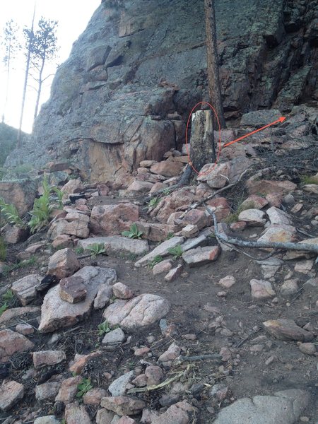 Approach to Climbers' Access trail, after you leave double track part where the vehicle turn around terminates.   When you hit the first large rock outcropping, go right.  It goes behind the stump in the photo.