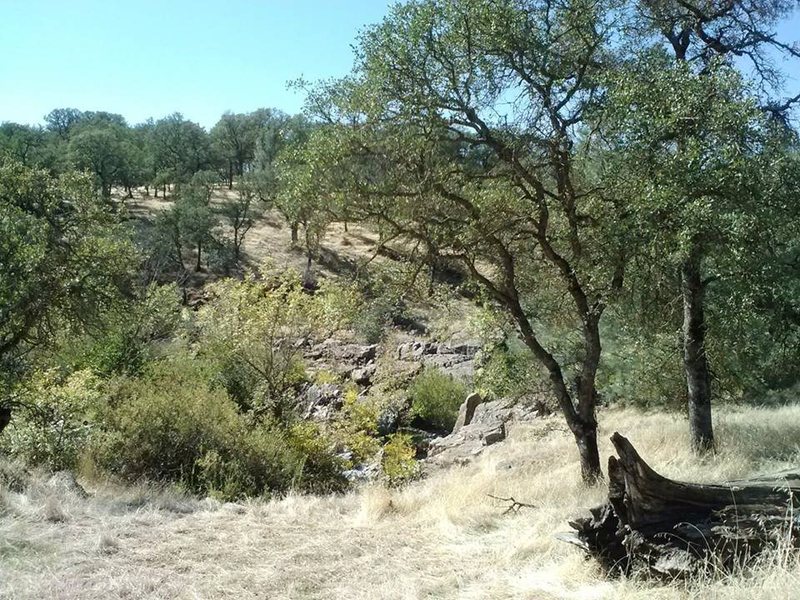 View of the bouldering area from the parking spot