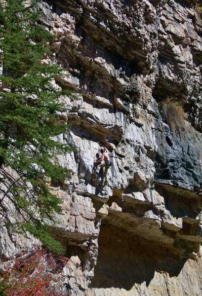 Crappy photo of Ben on the mid-section.