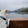 Boat trip .. Derwentwater UK