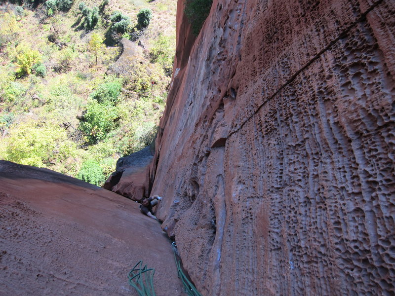 Looking down on the beautiful honeycombing corner.