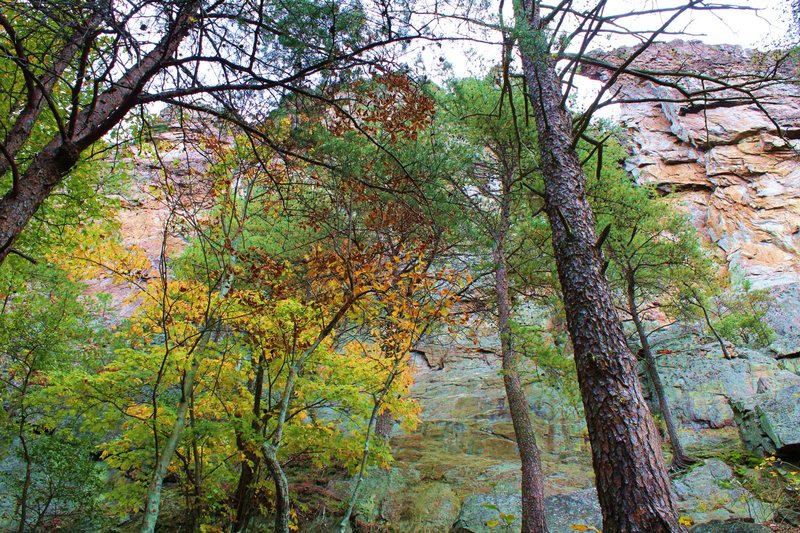 Pinky Pillar Wall<br>
<br>
Crowders Mountain State Park, North Carolina