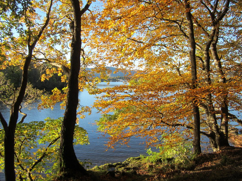 Borrowdale Valley, Derwentwater. Lake District, November 2013