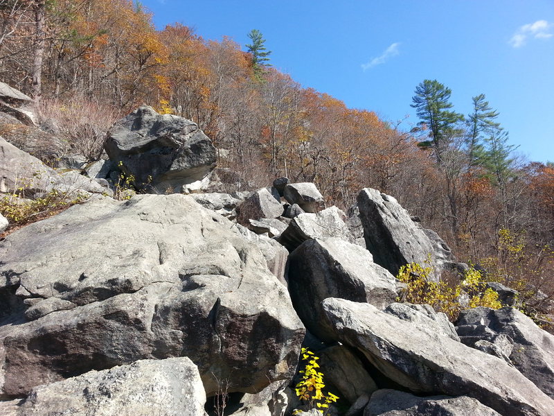 Bear Mountain Boulders