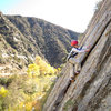 Bryson Fienup (age 6) enjoys a stellar Fall day at Sespe Gorge.