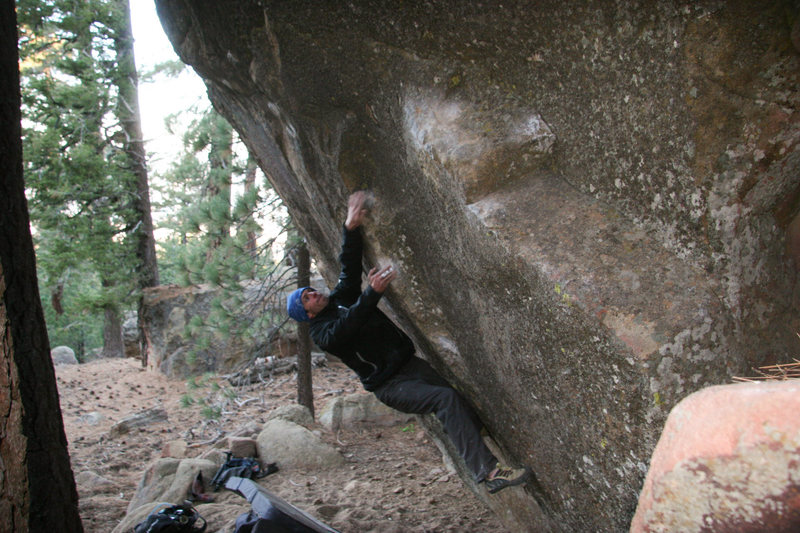 Ray on Spicy Beaver v10