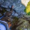 The crux of the downclimb, a loose but easy chimney. If this sketches you out, you can rap down it from a nearby tree. 