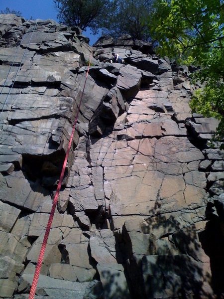 Wall to the right of red rope is 'Pink Pants'