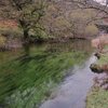 Buttermere stream in November