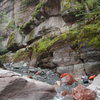 Lower Angel Creek, Ouray, CO. Beautiful side trip!