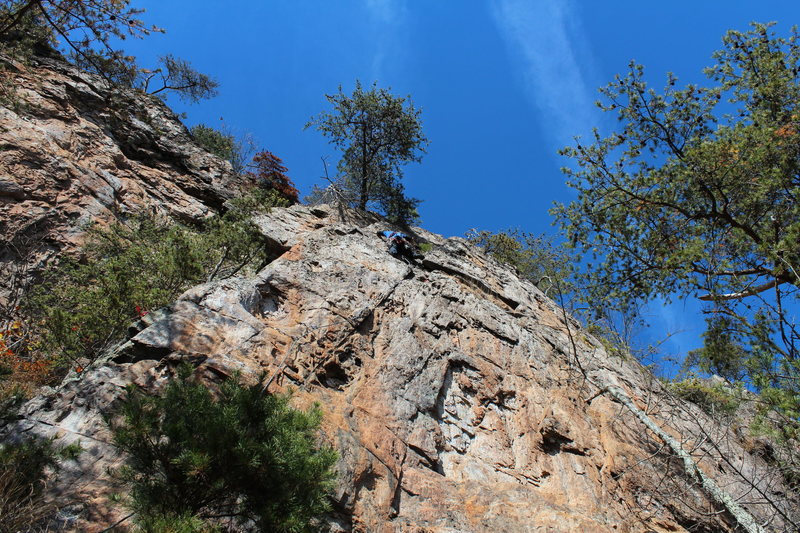 Red Wall<br>
<br>
SeamStress(5.8)trad<br>
<br>
Crowders Mountain State Park, North Carolina