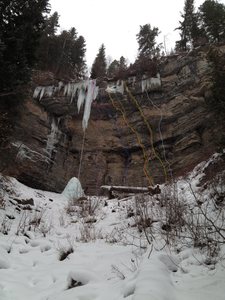 The lime green line.