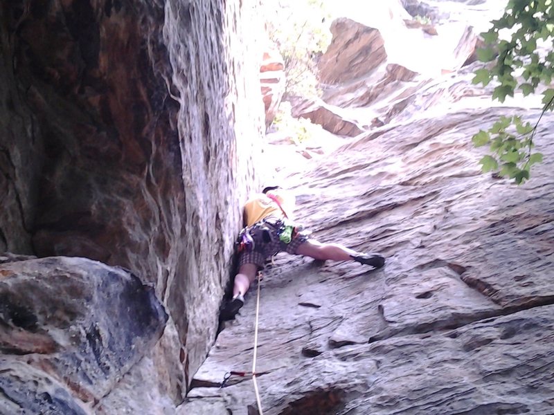 Leading Calypso II. Got swarmed by bees and had to bail after convincing my friend to quickly clean the bolted anchors. Good route to start trad on, awesome pro.