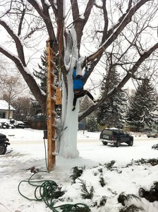 Cold snap in Boulder, 12/2013.