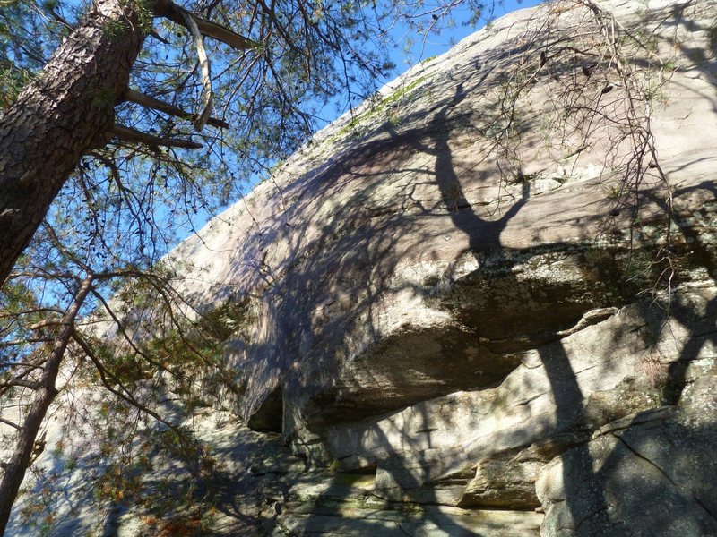 Three hard bouldery climbs between Dust Bowl Daze and By Gully. All climbs bolted. Bolted anchors at the top <br>
<br>
Battle of the Bulge is the right climb