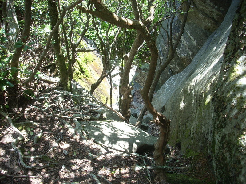 Pickens Nose - Top Rope Wall descent gully