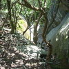 Pickens Nose - Top Rope Wall descent gully