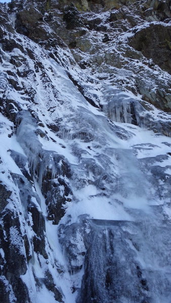 Blue Gulley on 11-22-13