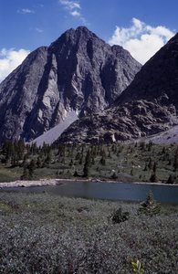 Silex from Trinity Lake.