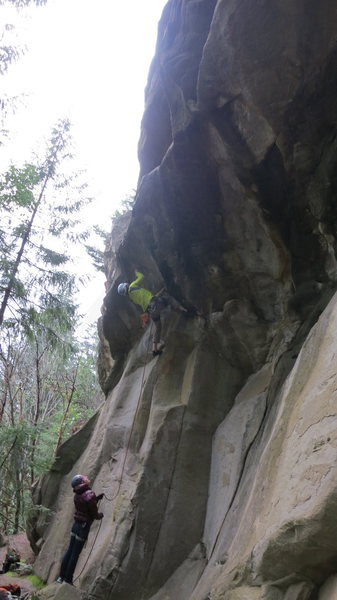 wild moves through the roof of 5 Deadly Venoms