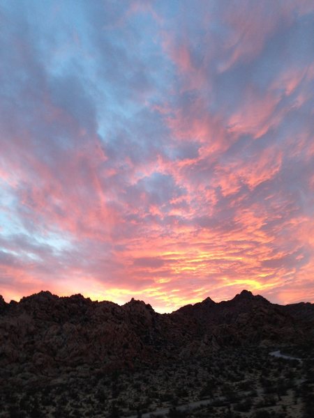 Joshua Tree sunset