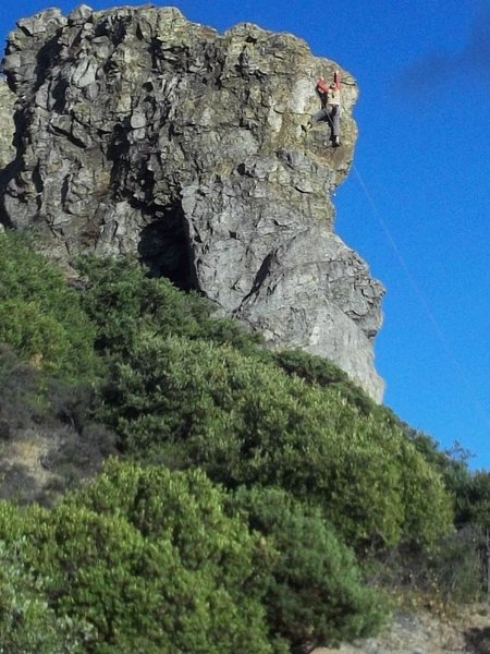 Whitney on Doppleganger, Hole in t/ wall