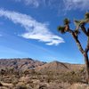 Quail Springs Area, Joshua Tree NP