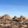 Jumbo Rock Area, Joshua Tree NP