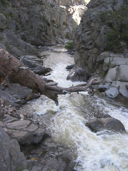 Stream gauge at 55cfs