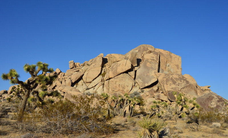 Monkey Dome South Face