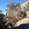 Forest Crack, as seen from the base of the Kingdom Boulder.