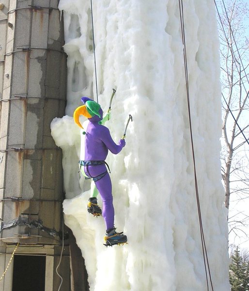 court jester climbing in 50 temps