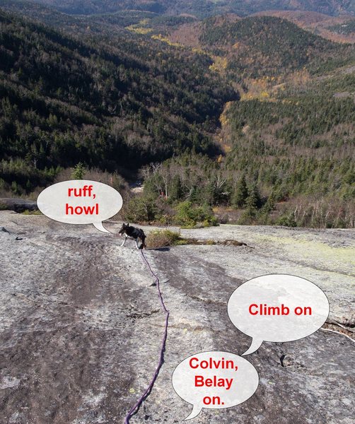 Eagle slide, so easy a dog can climb it. To be fair, he's also climbed the Trap Dike (exit via the old slab), Whiteface #1 and 2, Lake Placid Slide, Huntington Ravine, Kings Ravine, and pretty much every major scramble in the Northeast. <br>
<br>
I should caution anyone from doing this unless their dog is extremely well trained. 