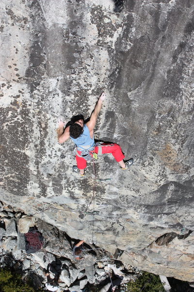 super natural .11c, larry land, bowman, ca.