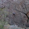 Negress Wall, Owens River Gorge