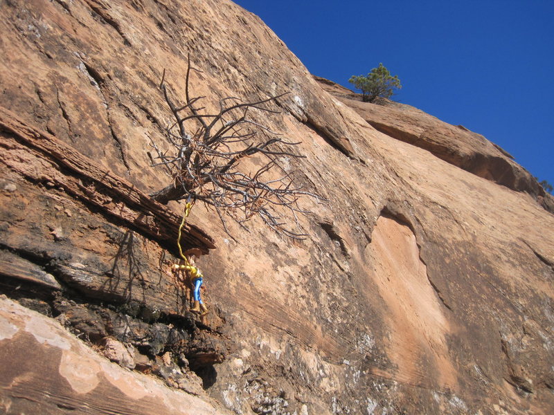 woody having fun soloing