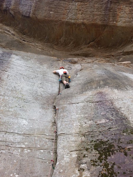 Leading buckwheats climb. Trying to set a tricam at that moment. 