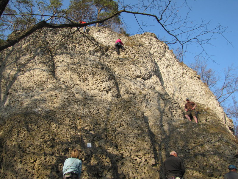 The fat guy standing there is on Krebs. It follows that shaded crack above him.