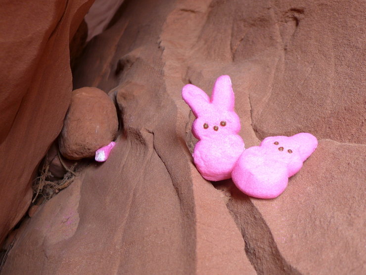 Peeps incident