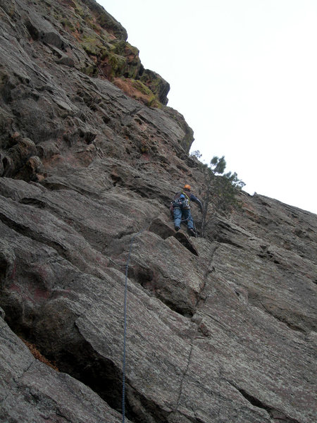 Dave approaches the landmark tree.