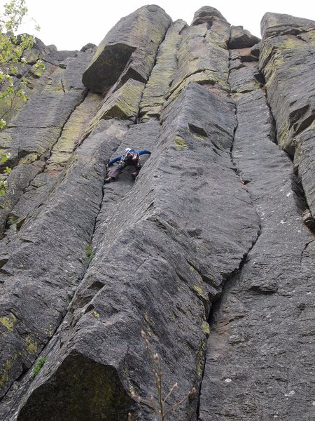 leading Bridger