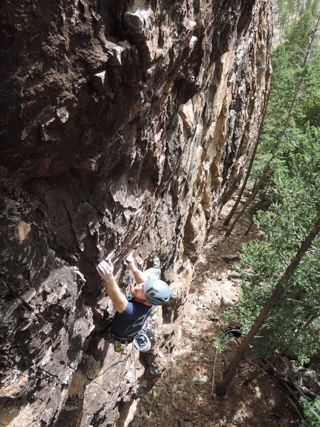 TJ cruising on the opportunist.