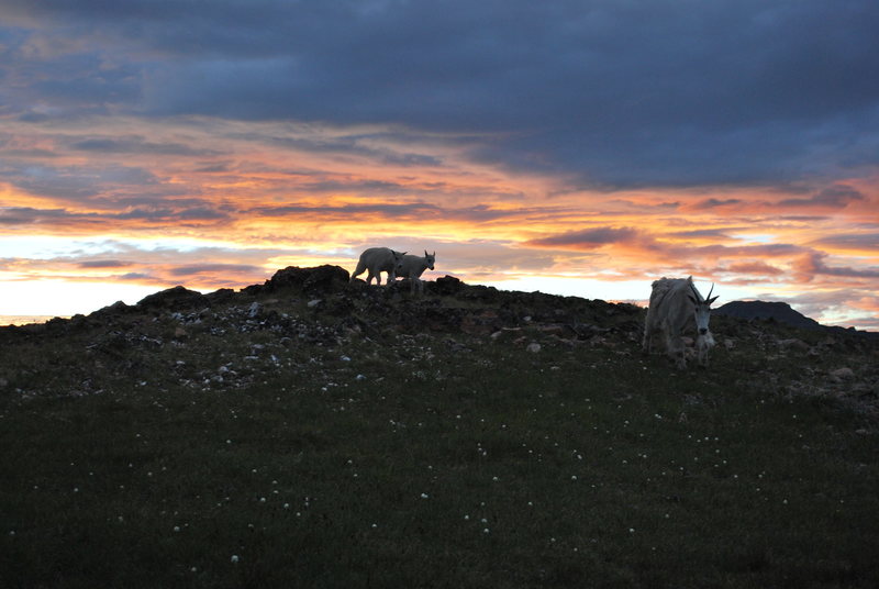 Visitors at camp.