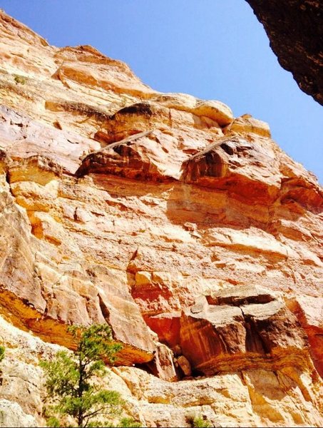 Middle South Kaibab Wall. 