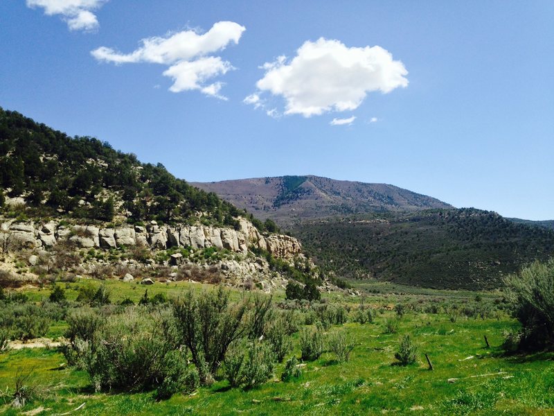 One of the many areas up in and around 16 Road. If you're looking for green and to get away from the brown desert, this might be a good place to hang out!