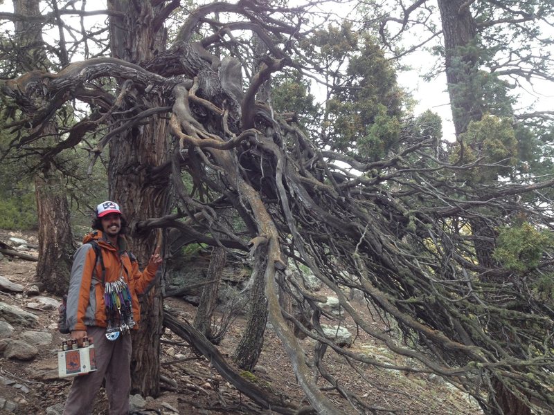 Estes Park.