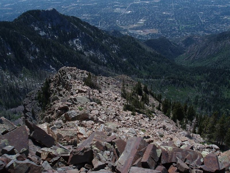 Looking down into deafsmiths from a ridge on twin peaks